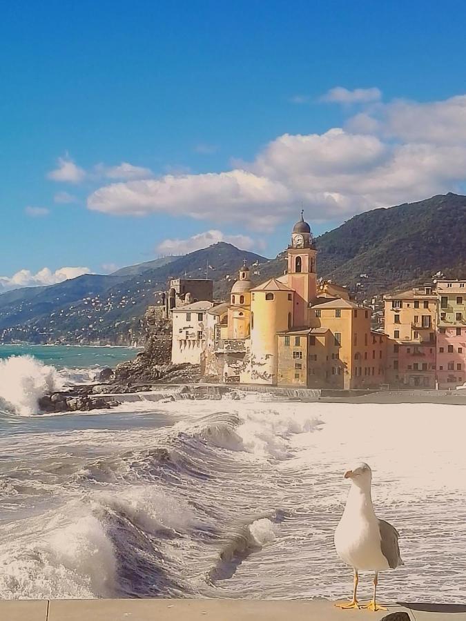 Silmar Διαμέρισμα Camogli Εξωτερικό φωτογραφία